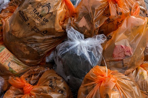Single Use Plastic Bags